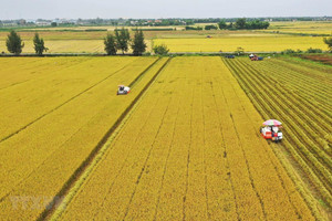Long An và Đồng Tháp được chuyển mục đích sử dụng hàng trăm ha đất trồng lúa sang đất phi nông nghiệp