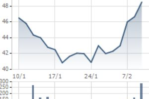 HPG, TCB, GMD, MSH, ACB - Những cổ phiếu tốt cho danh mục đầu tư tháng 2/2022