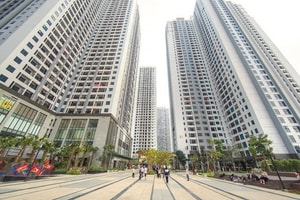 Phụ huynh thuê chung cư cao cấp cho con đi học
