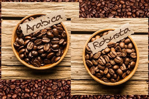 Duy trì sức ép bán lớn trên thị trường cà phê