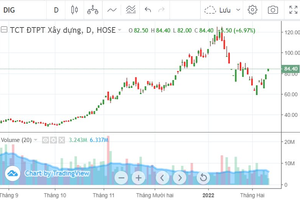 DIG trần phiên thứ 3, cổ đông bắt đáy phiên 9/2 lãi hơn 40% chỉ sau 1 tuần giao dịch
