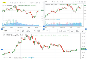 Phiên chiều 16/2: Cổ phiếu và đồ thị (GMD - VPG - SD9)