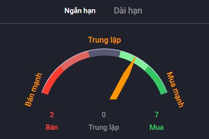 Phiên chiều 21/2: Cổ phiếu và đồ thị (HOM)