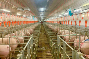 Nông nghiệp BaF công bố lịch chốt quyền trả cổ tức tỷ lệ 84%