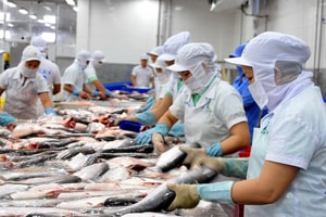 Cổ phiếu ngành thủy sản âm thầm dậy sóng