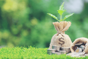 Nam Việt (NAV) chuẩn bị chốt danh sách trả cổ tức bằng tiền đợt 2/2021