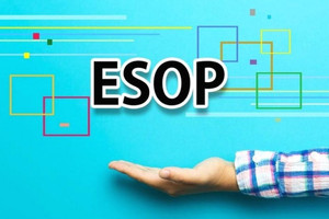 FPT sắp phát hành hơn 6,6 triệu cổ phiếu ESOP