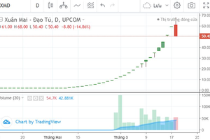Cổ phiếu XMD chính thức đáp sàn sau chuỗi 25 phiên trần: Sau "gió Đông" là "gió độc"