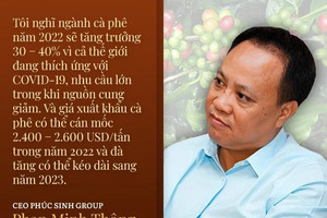 CEO Phúc Sinh Group: Giá cà phê xuất khẩu có thể tăng lên 2.600 USD/tấn trong 2022