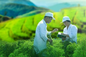 Traphaco (TRA) trình kế hoạch LNST 2022 tăng hơn 8% YoY