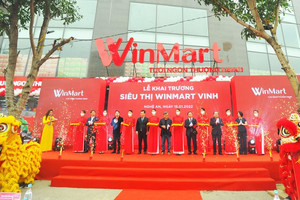 2 năm sau M&A: "Bầu sữa" Masan vẫn chưa thể giúp Winmart sống khỏe