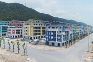 Cổ đông CEO Group sẽ tiếp tục "nhịn" cổ tức năm thứ 3?