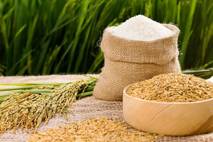 Giá lúa gạo hôm nay 20/4: Duy trì ổn định