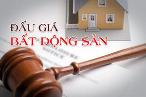 Doanh nghiệp mới thành lập khó có cơ hội tham gia đấu giá đất