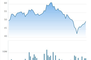 Nam Long (NLG): Lợi nhuận quý I "bốc hơi" 91%, khối ngoại vẫn rót ròng 800 tỷ sau 13 phiên