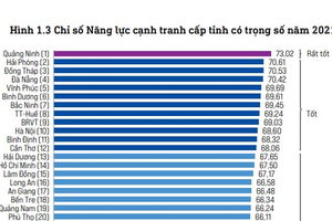 Năm 2021: Nhiều địa phương thăng hạng chỉ số PCI vượt bậc