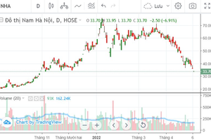 Mịt mù khả năng "giữ chữ tín" với cổ đông của Đô thị Nam Hà Nội (NHA) năm 2022