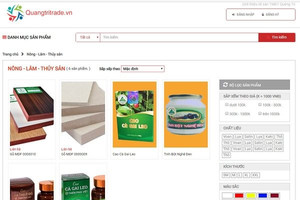 Quảng Trị có chuyển biến tích cực từ chuyển đổi số