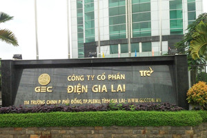 Điện Gia Lai (GEG) dự chi hơn 182 tỷ đồng trả cổ tức năm 2021 cho cổ đông