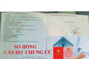 Đề xuất cấp sổ hồng cho căn hộ chung cư theo tuổi thọ thiết kế tòa nhà