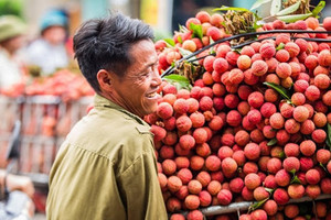 Bộ Công Thương: Doanh nghiệp cần đẩy mạnh xuất khẩu chính ngạch