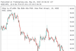 HPG giảm mạnh ngày họp ĐHCĐ, ông Trần Đình Long cam kết không xả cổ phiếu đang nắm giữ