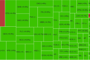 Chứng khoán phiên chiều 25/5: VN-Index tăng 35 điểm, cổ phiếu thủy sản bứt phá
