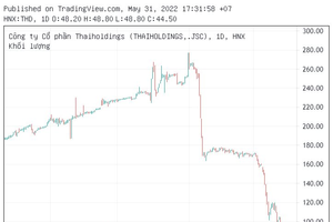 Thaiholdings (THD): "Ngàn thước lên cao ngàn thước xuống", cổ phiếu từ 277.x còn 44.x