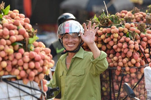 Vải được mùa, nông dân đẩy mạnh quảng bá sản phẩm