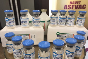Navetco (VET) - "Mừng trước lo sau" chuyện chiếm lĩnh thị trường vắc xin dịch tả heo Châu Phi
