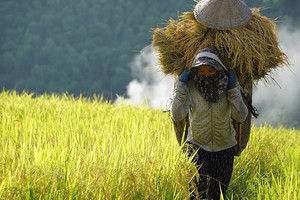 Bộ trưởng Bộ Công Thương: Sẽ dùng quỹ an sinh nếu giá vật tư nông nghiệp tăng cao