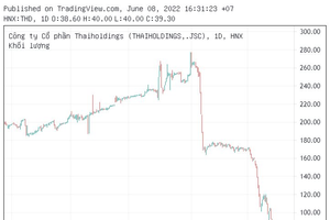 Thaispace "teo" vốn điều lệ, cổ phiếu Thaiholdings (THD) về vùng 3x, khối ngoại mỏi tay xả hàng từ đầu năm