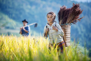 Đông Nam Bộ tiếp tục là khu vực có thu nhập bình quân đầu người cao nhất cả nước