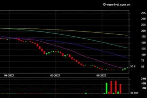 Cổ phiếu THD tăng 32% sau 3 phiên, đồ thị giá vượt trở lại đường MA20