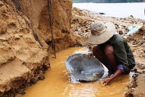 Đãi cổ đất tìm “vàng”