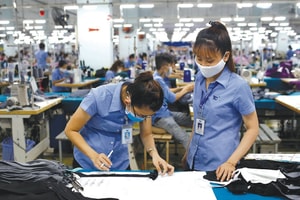 Chuyên gia VDSC: Doanh nghiệp dệt may sẽ phục hồi tốt hơn nhóm thủy sản nếu lạm phát được kiểm soát
