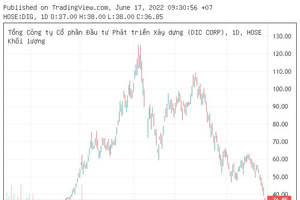 Cổ phiếu DIG (DIC Corp) giảm 70% từ đỉnh, gia đình chủ tịch mất cả nghìn tỷ đồng tài sản