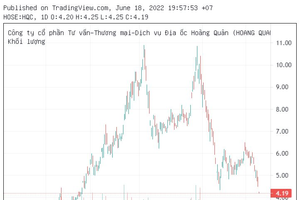 46.000 cổ đông HQC không nên bỏ qua những thông tin này