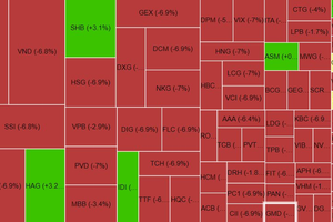 Chứng khoán phiên chiều 20/6: 225 mã giảm sàn, VN-Index về mốc 1.180 điểm