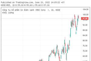 Cơ điện lạnh (REE) sắp niêm yết bổ sung hơn 46 triệu cổ phiếu