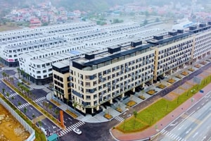 Cổ phiếu Đầu tư IDJ Việt Nam đã "thoát" diện cảnh báo