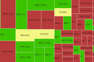 Cổ phiếu chứng khoán - dầu khí giảm sâu, VN-Index mất hơn 14 điểm