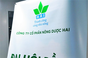 Thêm doanh nghiệp "họ FLC" chưa tổ chức được ĐHCĐ do... không tìm được đơn vị kiểm toán