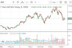 Nhân viên Hóa chất Đức Giang (DGC) lãi 900% sau khi mua cổ phiếu ESOP