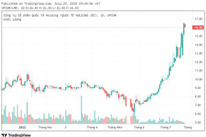 Một cổ phiếu tăng 162% sau 2 tháng