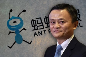 "Hãy coi Alibaba là một bài học"
