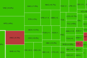 VN-Index vượt mốc 1.230 điểm, HNG suýt giảm sàn