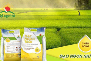 Lộc Trời (LTG) bất ngờ báo lỗ 43 tỷ đồng quý 2