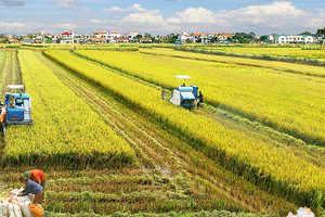 Nông nghiệp Trung An (TAR) báo lãi quý II tăng 41% so với cùng kỳ