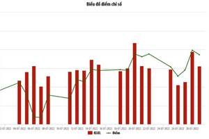 Cổ phiếu SHS chiếm hơn 15% tổng thanh khoản sàn HNX trong tháng 7